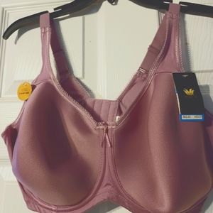 NWT Wacoal light purple 40DDD t-shirt bra